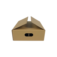 Boîte en carton ondulé écologique avec logo personnalisable, emballage en papier kraft réutilisable avec doublure en éponge