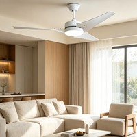 Ventilateur de plafond solaire de 60 pouces 60W avec adaptateur pour la maison, le bureau, le refroidissement et la ventilation