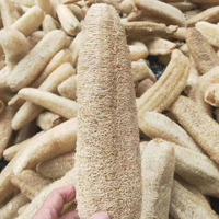Luffa brut biodégradable éponge de cuisine nettoyage de la vaisselle Luffa éponge vaisselle luffa entier