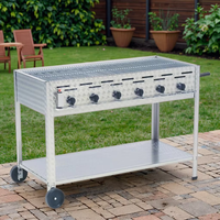 Barbecue à gaz moderne d'extérieur en acier inoxydable, 6 brûleurs au propane, 22 kW, sécurité flamme, surface de cuisson de 4 m, allumage piézoélectrique, bouton de commande