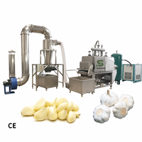 Industriële kettingaangedreven knoflookschilmachine, 600 kg/uur, kettingtype, knoflookschiller, knoflookzaadsplitser