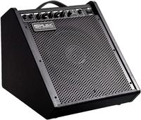 Amplificateur de batterie électrique professionnel avec woofer de 10 pouces et égaliseur 3 bandes, 100W, construction métallique