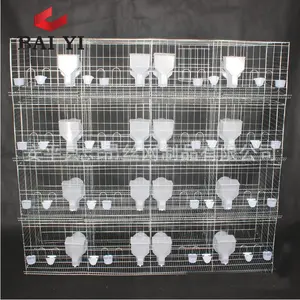 Galvanized Bird Dove Breeding Cage for Pigeon