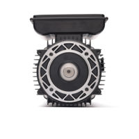 Moteur monophasé 220V série YL YL-112M-2 à deux condensateurs, 4kW, 2800 tr/min, pour équipement médical, faible bruit, performance stable, IEC