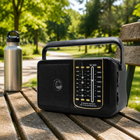 Radio portable rechargeable OEM avec logo personnalisé, moule privé, multi-bandes AM FM TV SW, lecteur de musique USB TF Card, batterie rechargeable DC 5V