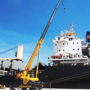 Crane RT90 untuk Medan Berat yang Tahan Lama dengan Kapasitas Angkat 66KN, Harga Bagus, Mesin Berkinerja Tinggi di Medan Off-Road untuk Dijual - Product Image 4