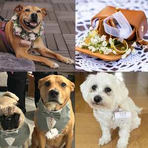 Pochette de mariage en cuir pour chien, sac à coussinets porte-alliances gravé avec le nom du chien pour fiançailles, mariage, cérémonie - Product Image 3