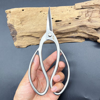 Outils horticoles spécialisés pour la conception de bonsaïs, ciseaux de jardinage pour l'élagage, arrangement floral, acier inoxydable, bricolage, manche droit