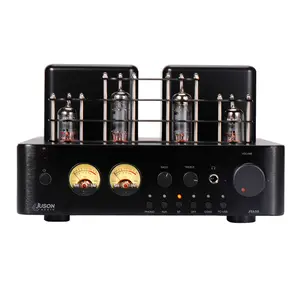 Préampli Phono professionnel 130Watts Tube Ampilifer HiFi Audio Home avec BT Aux In Sub Out