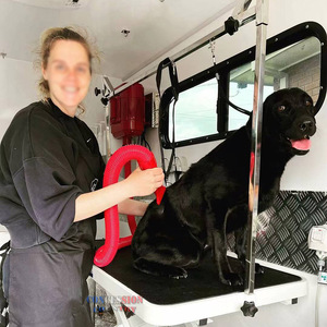 <strong>Best</strong> Sale Mobile <strong>Dog</strong> Grooming <strong>Trailer</strong> Multifunction <strong>Dog</strong> Wash <strong>Trailer</strong> Outdpoor Mobile Pet Salon <strong>Trailer</strong>