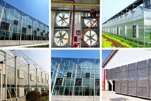 Efficace économie <span class=keywords><strong>d</strong></span>'énergie poulet poule maison ferme Ventilation 380V <span class=keywords><strong>solaire</strong></span> échappement ventilateur mural <span class=keywords><strong>extracteur</strong></span> <span class=keywords><strong>d</strong></span>'<span class=keywords><strong>air</strong></span> <span class=keywords><strong>serre</strong></span> - Product Image 3