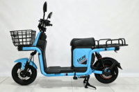 Scooter électrique 48V avec moteur arrière sans balais, batterie au plomb-acide, autonomie de 25-35 km, double suspension, frein à disque hydraulique, pour transport de nourriture/charge