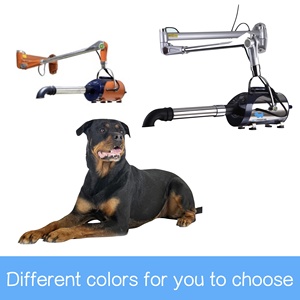 Sèche-cheveux mural en acier inoxydable de luxe, écologique, charge 110-240V, pour toilettage des animaux de compagnie, salle de bain, beauté, <span class=keywords><strong>SPA</strong></span> - Product Image 4