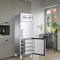 Congélateur Vertical Électrique 2025 en Promotion, Capacité 450L, Classe Énergétique A+++, Dégivrage Automatique, Double Porte, Idéal Hôtellerie et Usage Domestique