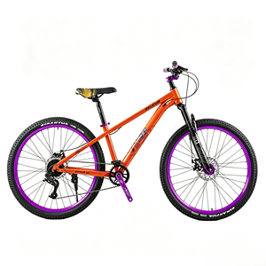 Vélo de montagne de style européen, 26, 24, 29 pouces, frein à disque, fourche en acier, adulte - Product Image 4