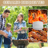 Ensemble d'accessoires pour barbecue de cuisine extérieure, barbecue à gaz, 50 pièces, briquettes en céramique cordierite, briques de remplacement pour atténuateur de flamme