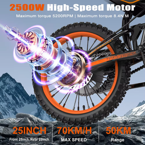 WISH 02 PRO Moto tout-terrain électrique pour adultes de taille normale, longue portée, 60V 27Ah 2500 W, moto électrique tout-terrain, moto de cross électrique - Product Image 3