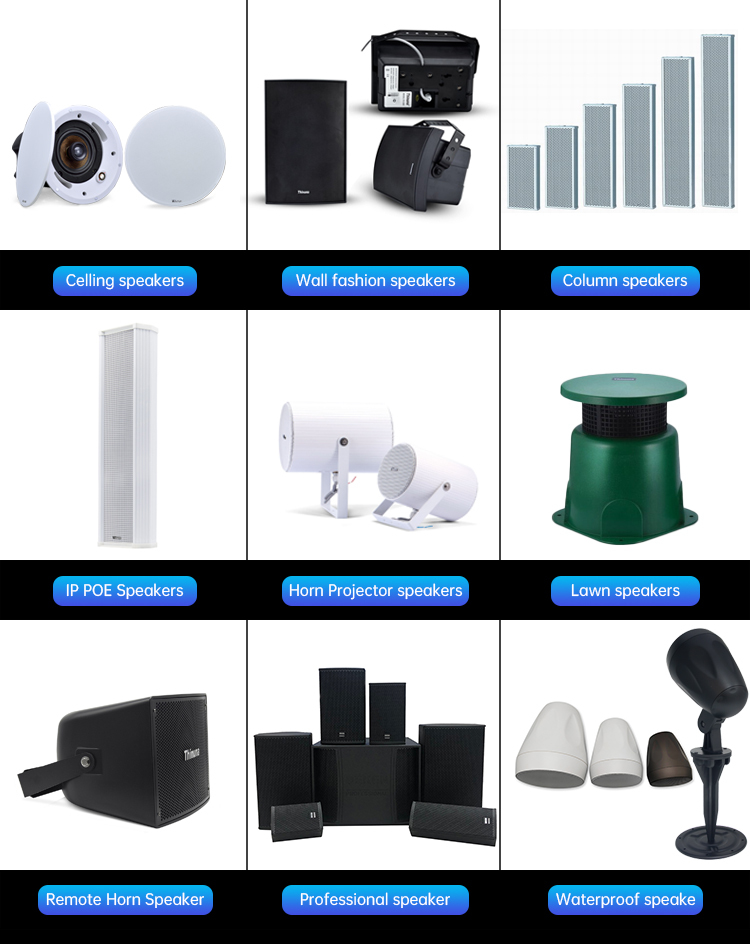 Thinuna HS-50B Factory Price Easy Install 100V Speaker Waterproof