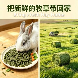 Alimento para conejos, adecuado para conejos, cobayas y chinchillas |   Personalizable/ODM/OEM - Product Image 2