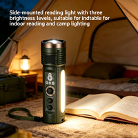 Radio portable avec lampe torche Internet, lumière LED haute luminosité et radio AM/FM