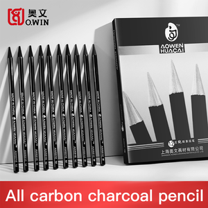 Matite Professionali in Carboncino di Alta Qualità per Schizzi e Disegni, Opache, Confezione da 12 Pezzi per Scuola, Casa e Studio - Product Image 6