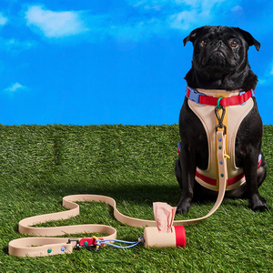 Harnais pour chien et chat BOBO&YOYO, nouveau design tendance, personnalisable avec logo, luxe, respirant, en polyester solide, avec boucle. - Product Image 4