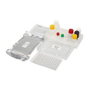 Instrumento veterinario del equipo porcino del anticuerpo del parvovirus (PPV Ab) <span class=keywords><strong>ELISA</strong></span> para la diagnosis animal - Product Image 5