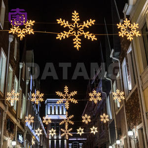 Variété 2D à travers le motif Meilleure qualité Décoration extérieure suspendue Étanche 2D à travers la rue Led Motif Lights - Product Image 4