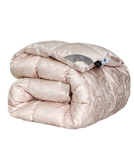 Nouveaux couvre-lits et édredons en coton haut de gamme Icarus, 5% <span class=keywords><strong>duvet</strong></span> <span class=keywords><strong>d</strong></span>'<span class=keywords><strong>oie</strong></span> <span class=keywords><strong>blanche</strong></span>, épaissis pour l'hiver, le printemps et l'automne - Product Image 1