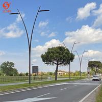Poste de Luz Galvanizado Curvo Personalizado SLOER, Brazos Dobles o Simples, 4m 5m 6m 7m 8m 9m 10m 11m 12m