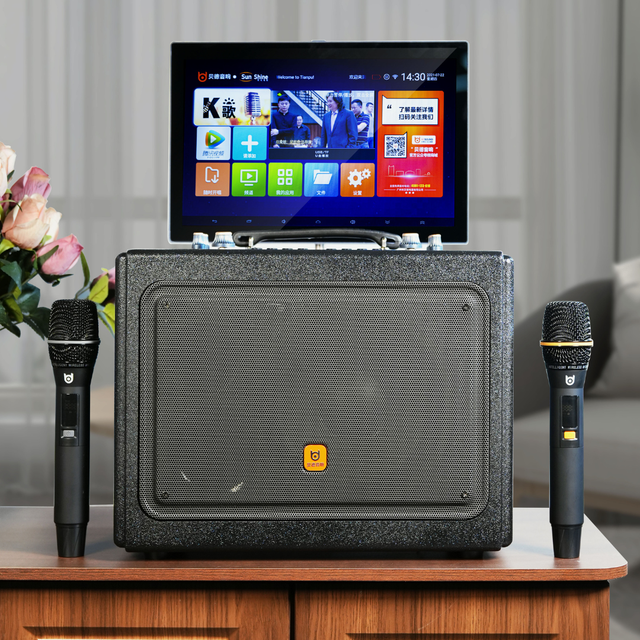 Wireless Portable Karaoke Speaker with BT,14.1 Inch Screen High Power Trolley PA System for Outdoor and Indoor Events