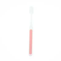 Outils de nettoyage dentaire pour adultes en gros, emballage en boîte en PVC, brosse à dents pour usage domestique, brosse à dents colorée en lot de 2
