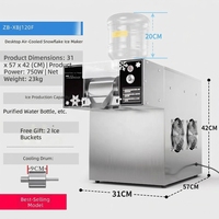 Machine à glace commerciale en flocons d'argent, capacité de 120 kg/jour, pour la restauration et les cafés