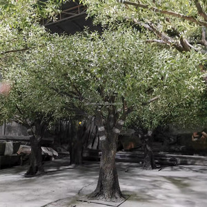 Tamaño y Forma Personalizados, Aspecto Natural, Fácil de Instalar, Plantas Grandes, Árbol Verde, Olivo Artificial para Interiores, Hogar, Hotel - Product Image 3