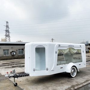 Carroza Fúnebre Clásica de Lujo en Venta Caliente en Europa - Coche Fúnebre, Furgoneta Fúnebre, Equipo Funerario - Product Image 2