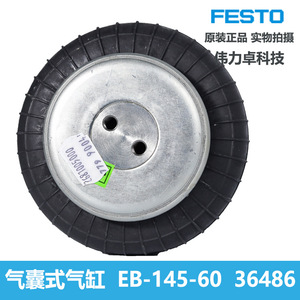 Festo Air Spring Cylinder EB-145-60 36486 Single Acting Steel Body Thread Connection - Product Image 4