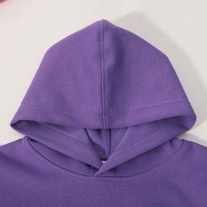 Vente en gros de sweat-shirts à capuche 320G, couleur unie, pour jeunes enfants, sweat-shirt en coton pour l'automne - Product Image 5
