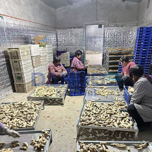 Secadora de Frutas y Verduras, Secadora de Jengibre, Secadora de Cardamomo y Chile - Product Image 3