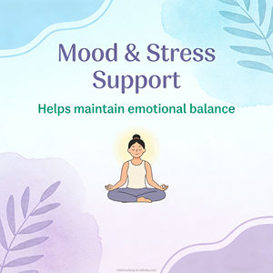 Cápsulas de Apoyo para la Menopausia en Mujeres Sin OMG con Ashwagandha, Raíz de Cohosh Negro, Isoflavonas de Soya y Vitamina <span class=keywords><strong>B</strong></span> para el Equilibrio Hormonal - Adultos - Product Image 3