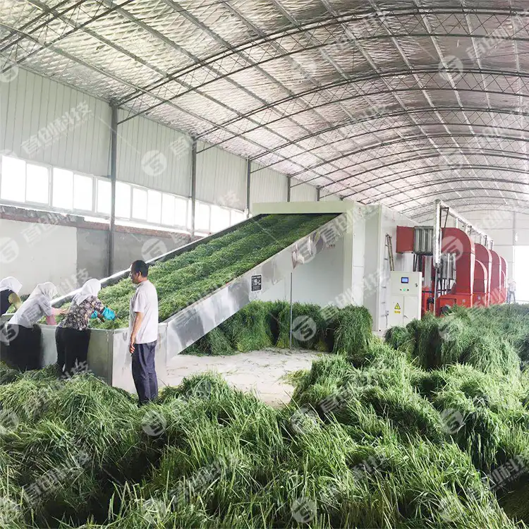 Mesin Teknologi Baru untuk Pengering Rumput Pengering Dijual Biaya Rendah Investasi Tinggi Ikat Pinggang Jala Rumput Kering Jerami Alfalfa