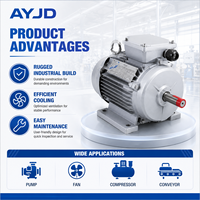 Moteur électrique industriel asynchrone triphasé à induction, robuste, antivibrations, 45 kW, 60 CV, 4 pôles, 6 pôles, pour ventilateur et applications minières