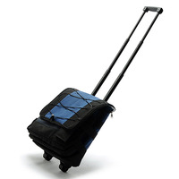 Boîte isotherme à roulettes pliable et isolée glacière gel profond poignée télescopique chariot sac isotherme panier à glace pliable