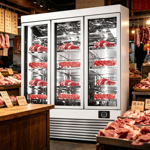 Congélateur commercial à trois portes pour bœuf, type ventilé, pour la maturation et la conservation de la viande - Product Image 4