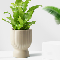 Pot de fleur orchidée de style nordique Monstera Deliciosa Pot de plante en céramique avec trou de drainage pour la maison et le jardin pépinière