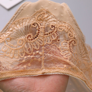 Hot Sale Sexy Lace <strong>Panties</strong> <strong>Dirty</strong> Mature Blue Women Lace Lingerie Underwear for Women - Product Image 6