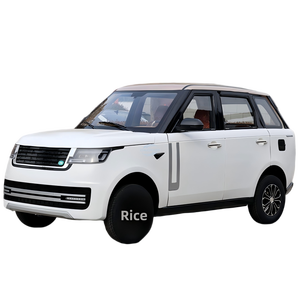 Hotel Transport Off Road EV 201-300km <b>Range</b> 110kWh Battery 500Nm Torque Adult - Product Image 1