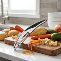 Multifunctionele roestvrijstalen messenset voor fruit, groenten en aardappelen, makkelijk schoon te maken, draagbaar ontwerp