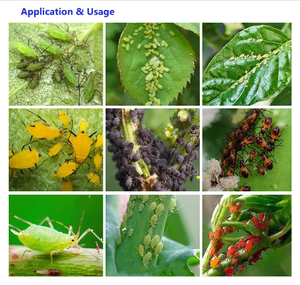 Insecticida de Alta Eficacia Alfa Cipermetrina 5% 25%EC para el Control de Plagas en Cultivos de Algodón y Vegetales - Product Image 1