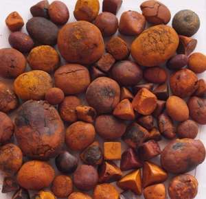 Cálculos Biliares Bovinos Naturales de Alta Pureza, Grado Premium de Exportación, a Prueba de Humedad al Vacío, 2 Años de Vida Útil, Suministro con Empaque Personalizado - Product Image 2