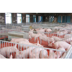 Maison <span class=keywords><strong>de</strong></span> cochon en acier à vendre, usine prête à l'emploi - Product Image 2